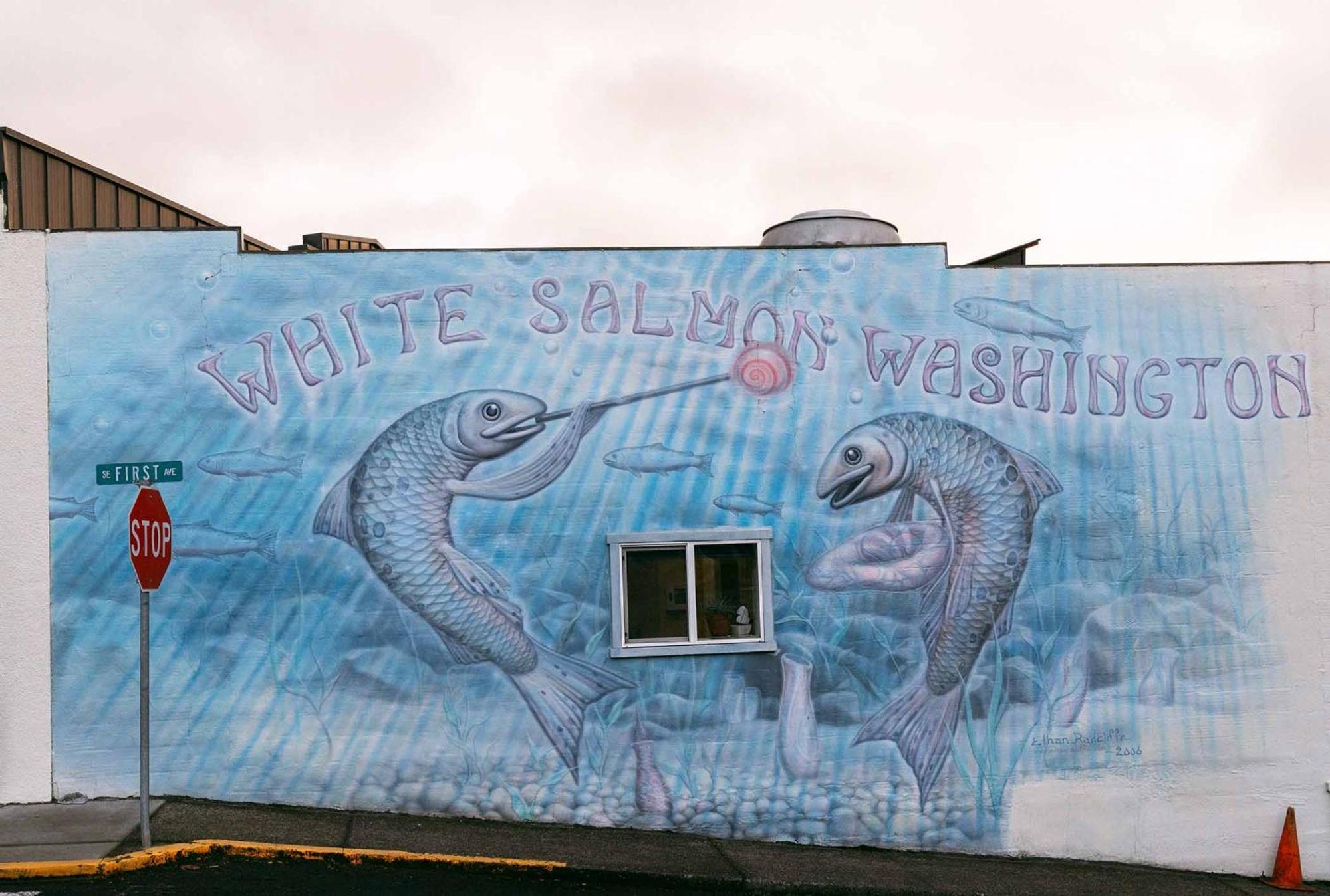 Inn Of The White Salmon Екстериор снимка